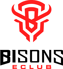 bisons